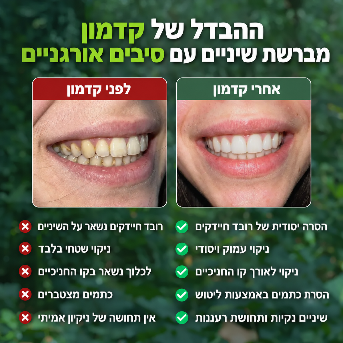 קדמון - מברשת שיניים ללא מיקרופלסטיקים